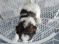 processed/3bf165e2-0b24-428f-9cb0-75df13e380d4/listing/334ae60d-cafb-4578-89e9-ecf7bacafc36/41322fad-7995-4c37-9438-4e16c6e0d9a2