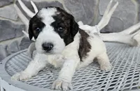 processed/3bf165e2-0b24-428f-9cb0-75df13e380d4/listing/334ae60d-cafb-4578-89e9-ecf7bacafc36/c23e751d-2cfc-44e6-805b-ca291401bf0a