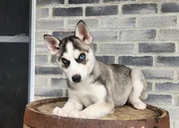 processed/3bf165e2-0b24-428f-9cb0-75df13e380d4/listing/3507f219-1ab2-4499-94d5-42cadea0e686/449d62e1-480f-4a1b-8408-b27a583efe9a