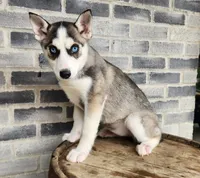 processed/3bf165e2-0b24-428f-9cb0-75df13e380d4/listing/3507f219-1ab2-4499-94d5-42cadea0e686/5d27c544-543e-4b90-95e9-de3268851ca8