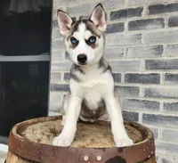 processed/3bf165e2-0b24-428f-9cb0-75df13e380d4/listing/3507f219-1ab2-4499-94d5-42cadea0e686/cf13f6c4-02c1-45ea-a4bd-0480c863800c