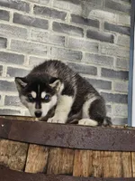 processed/3bf165e2-0b24-428f-9cb0-75df13e380d4/listing/475a022f-b571-4c02-9b25-e4afd9d1c0c5/0c7c3d5f-88a4-43a5-b7e6-f59fe82b61f3