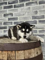 processed/3bf165e2-0b24-428f-9cb0-75df13e380d4/listing/475a022f-b571-4c02-9b25-e4afd9d1c0c5/30fc1545-a8b9-4aa8-85a7-545c64825b6c