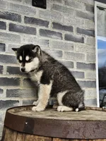 processed/3bf165e2-0b24-428f-9cb0-75df13e380d4/listing/475a022f-b571-4c02-9b25-e4afd9d1c0c5/45a84061-7df1-4631-a34b-bf03fb392991