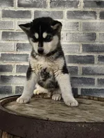 processed/3bf165e2-0b24-428f-9cb0-75df13e380d4/listing/475a022f-b571-4c02-9b25-e4afd9d1c0c5/628bd561-b824-4d73-8063-750cac504407