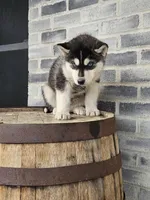 processed/3bf165e2-0b24-428f-9cb0-75df13e380d4/listing/475a022f-b571-4c02-9b25-e4afd9d1c0c5/d051b9ab-3732-4e89-9981-4c63be985249