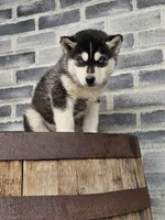 processed/3bf165e2-0b24-428f-9cb0-75df13e380d4/listing/475a022f-b571-4c02-9b25-e4afd9d1c0c5/f7be09b7-3a3f-4f26-a2aa-75d6e680bfc7