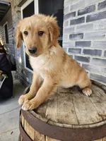 processed/3bf165e2-0b24-428f-9cb0-75df13e380d4/listing/5b32d041-1ae5-4909-9330-c0c21a92a0e2/3dac782f-ee81-4618-b3c1-0c41350cbbe6