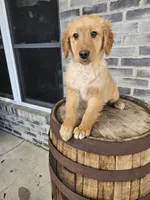 processed/3bf165e2-0b24-428f-9cb0-75df13e380d4/listing/5b32d041-1ae5-4909-9330-c0c21a92a0e2/4174e2ba-d409-4899-bea5-1a278f7c1c0b