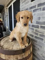 processed/3bf165e2-0b24-428f-9cb0-75df13e380d4/listing/5b32d041-1ae5-4909-9330-c0c21a92a0e2/58b7af39-3c04-4090-9772-28ac42c67bb6