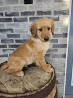 processed/3bf165e2-0b24-428f-9cb0-75df13e380d4/listing/5b32d041-1ae5-4909-9330-c0c21a92a0e2/76d948e6-55d7-4342-8b9b-e14c8ddfe1a6