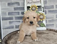 processed/3bf165e2-0b24-428f-9cb0-75df13e380d4/listing/5b32d041-1ae5-4909-9330-c0c21a92a0e2/8d60d268-49bc-4533-bf7d-97734c705c29