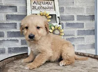 processed/3bf165e2-0b24-428f-9cb0-75df13e380d4/listing/5b32d041-1ae5-4909-9330-c0c21a92a0e2/9c967477-57a8-4ae3-971e-0d13a340664f