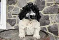 processed/3bf165e2-0b24-428f-9cb0-75df13e380d4/listing/98a677d2-ca8a-45fe-9ccf-a91abd781776/00aae5a9-5e12-4aac-89b1-f4a52f83b966