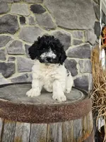 processed/3bf165e2-0b24-428f-9cb0-75df13e380d4/listing/98a677d2-ca8a-45fe-9ccf-a91abd781776/8c29eed6-1d87-4d7f-9b1c-6d2d8fbd6735