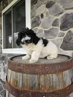 processed/3bf165e2-0b24-428f-9cb0-75df13e380d4/listing/98a677d2-ca8a-45fe-9ccf-a91abd781776/a9c32ee3-ef54-4aaf-aa23-52069c4075d2