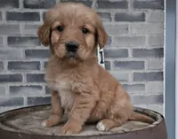 processed/3bf165e2-0b24-428f-9cb0-75df13e380d4/listing/a4003510-b18a-4563-b4fc-52f6591d033d/1593a5b8-9000-4d27-8bfa-92c7b8a2637c