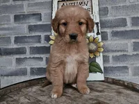 processed/3bf165e2-0b24-428f-9cb0-75df13e380d4/listing/a4003510-b18a-4563-b4fc-52f6591d033d/20322802-5490-40b1-a890-1684c660ccb0