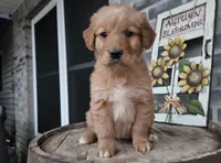 processed/3bf165e2-0b24-428f-9cb0-75df13e380d4/listing/a4003510-b18a-4563-b4fc-52f6591d033d/365b84b3-bb71-468b-88e1-269b5532da64