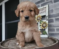 processed/3bf165e2-0b24-428f-9cb0-75df13e380d4/listing/a4003510-b18a-4563-b4fc-52f6591d033d/414987a9-9553-4c20-a036-f452326f583f