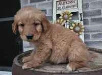 processed/3bf165e2-0b24-428f-9cb0-75df13e380d4/listing/a4003510-b18a-4563-b4fc-52f6591d033d/6521f031-888b-493c-9a23-9042a211ec42