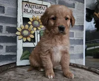 processed/3bf165e2-0b24-428f-9cb0-75df13e380d4/listing/a4003510-b18a-4563-b4fc-52f6591d033d/c6adbb8c-90b4-4ce1-aea0-29c1c4af5286