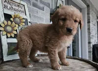 processed/3bf165e2-0b24-428f-9cb0-75df13e380d4/listing/a4003510-b18a-4563-b4fc-52f6591d033d/e1e1394e-de2c-450a-9bfa-75aa67f1cec3