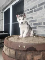 processed/3bf165e2-0b24-428f-9cb0-75df13e380d4/listing/a822f2f5-6611-43ed-8344-84c3767c154d/bc0be377-e116-40e0-990e-5002f807def4