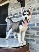 processed/3bf165e2-0b24-428f-9cb0-75df13e380d4/listing/ca9dd979-83ce-45e7-a812-2cb12ec18ae6/4792d0a9-2833-4ef3-a152-284b8b518c7a