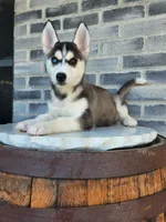 processed/3bf165e2-0b24-428f-9cb0-75df13e380d4/listing/ca9dd979-83ce-45e7-a812-2cb12ec18ae6/6bf9fc7d-8ec2-4e69-81d4-4d57715a1794