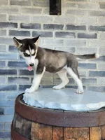 processed/3bf165e2-0b24-428f-9cb0-75df13e380d4/listing/ca9dd979-83ce-45e7-a812-2cb12ec18ae6/6c444a23-4a46-4707-9237-29e7db98ad6f