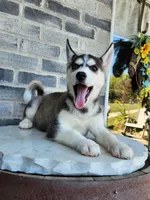 processed/3bf165e2-0b24-428f-9cb0-75df13e380d4/listing/ca9dd979-83ce-45e7-a812-2cb12ec18ae6/a3ad6e42-8f6b-4da8-b95f-051005f47e47