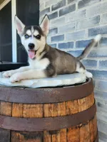 processed/3bf165e2-0b24-428f-9cb0-75df13e380d4/listing/ca9dd979-83ce-45e7-a812-2cb12ec18ae6/ad7cf711-cd29-4075-8a57-1827ba94e8d2