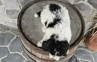 processed/3bf165e2-0b24-428f-9cb0-75df13e380d4/listing/e00afc77-f393-48c7-a8c9-671da5b2a195/14cbce05-87c5-4745-a37e-badb295546d5