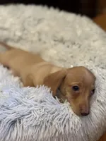 processed/3c05daa3-ab4d-40e5-bb08-3391d82f68db/listing/5bb983ca-d0a0-485d-9957-4587128fe61f/0661f2d6-687c-4abb-8994-3508b64466f5