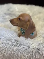 processed/3c05daa3-ab4d-40e5-bb08-3391d82f68db/listing/5bb983ca-d0a0-485d-9957-4587128fe61f/4ae5b436-6729-4822-9ac0-69f00f18a499