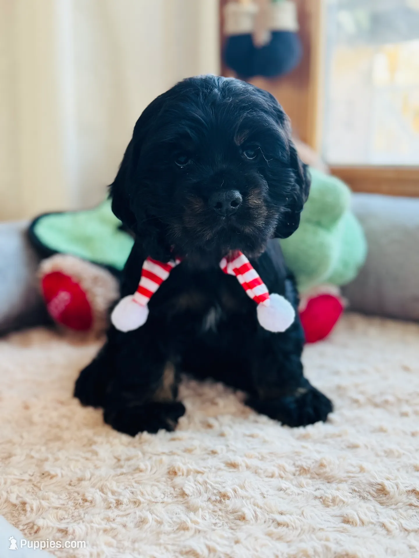 processed/3c05daa3-ab4d-40e5-bb08-3391d82f68db/listing/70d9c3d0-126e-4f07-ad79-3044552c9f6d/6a33aa5b-2c51-4974-b458-4774abb0c0cd