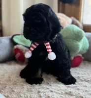 processed/3c05daa3-ab4d-40e5-bb08-3391d82f68db/listing/70d9c3d0-126e-4f07-ad79-3044552c9f6d/ea6dfbf8-04e8-4a53-9f0d-066493f75da9