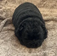 processed/3c05daa3-ab4d-40e5-bb08-3391d82f68db/listing/9c418039-79c1-4957-bb2e-95428b9a244a/54ebb830-9a1a-4677-92a3-58023f36787f