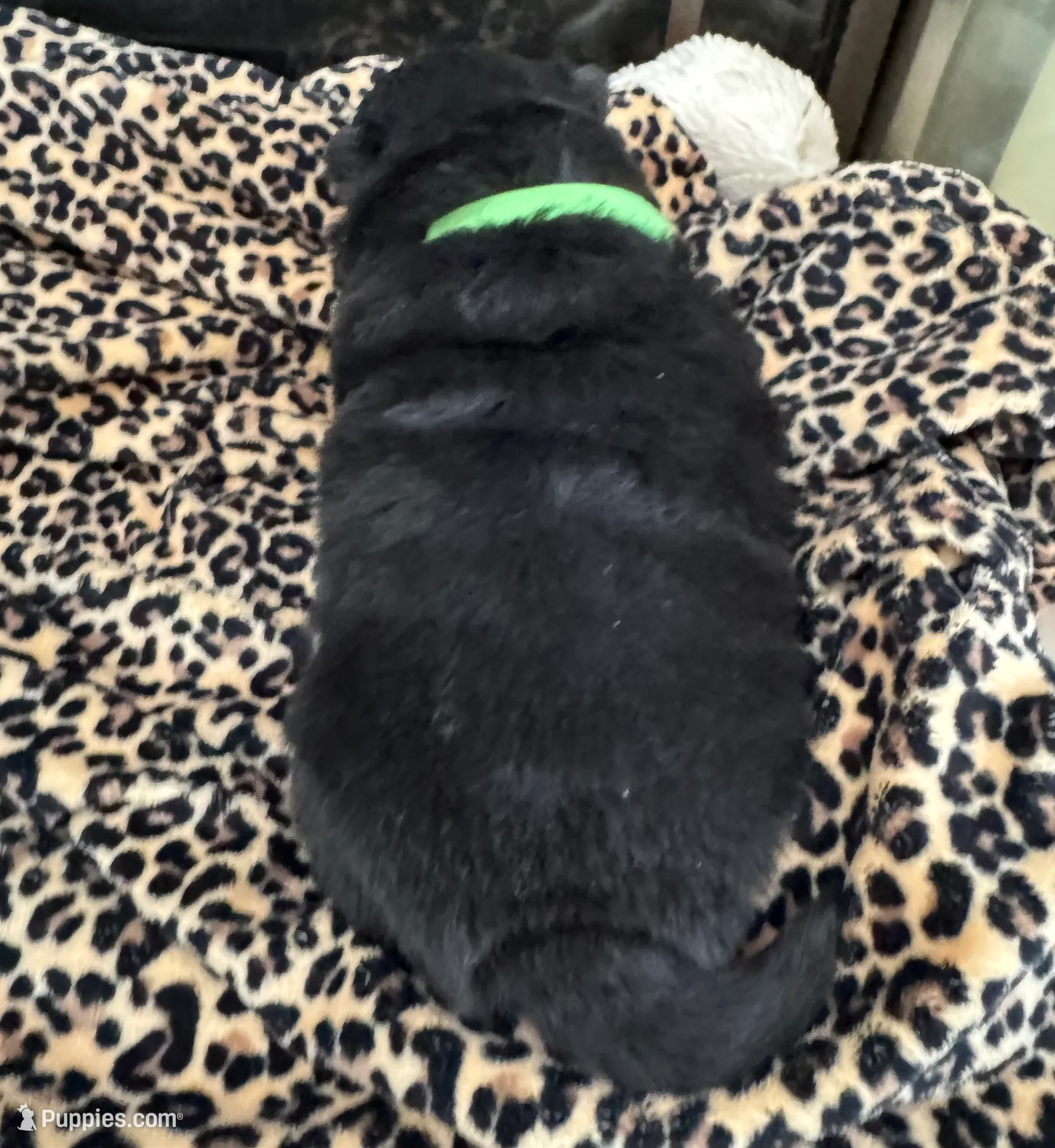 processed/3c05daa3-ab4d-40e5-bb08-3391d82f68db/listing/9c418039-79c1-4957-bb2e-95428b9a244a/6f110478-0a3d-4f68-8b3f-94f09b2d51c0