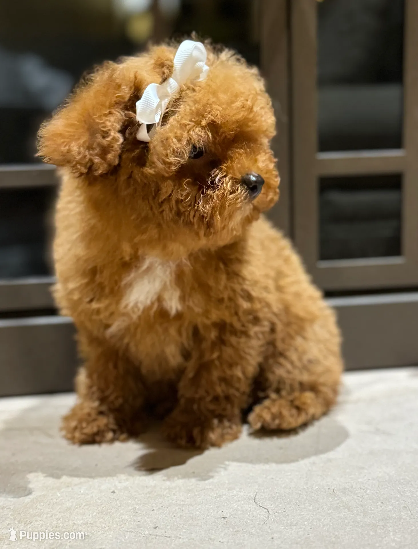 processed/3c05daa3-ab4d-40e5-bb08-3391d82f68db/listing/c5e52093-49ca-4991-b7eb-c67b8a1d73d0/00ec3cd4-41b7-403b-8c62-ccf6b81d8e75