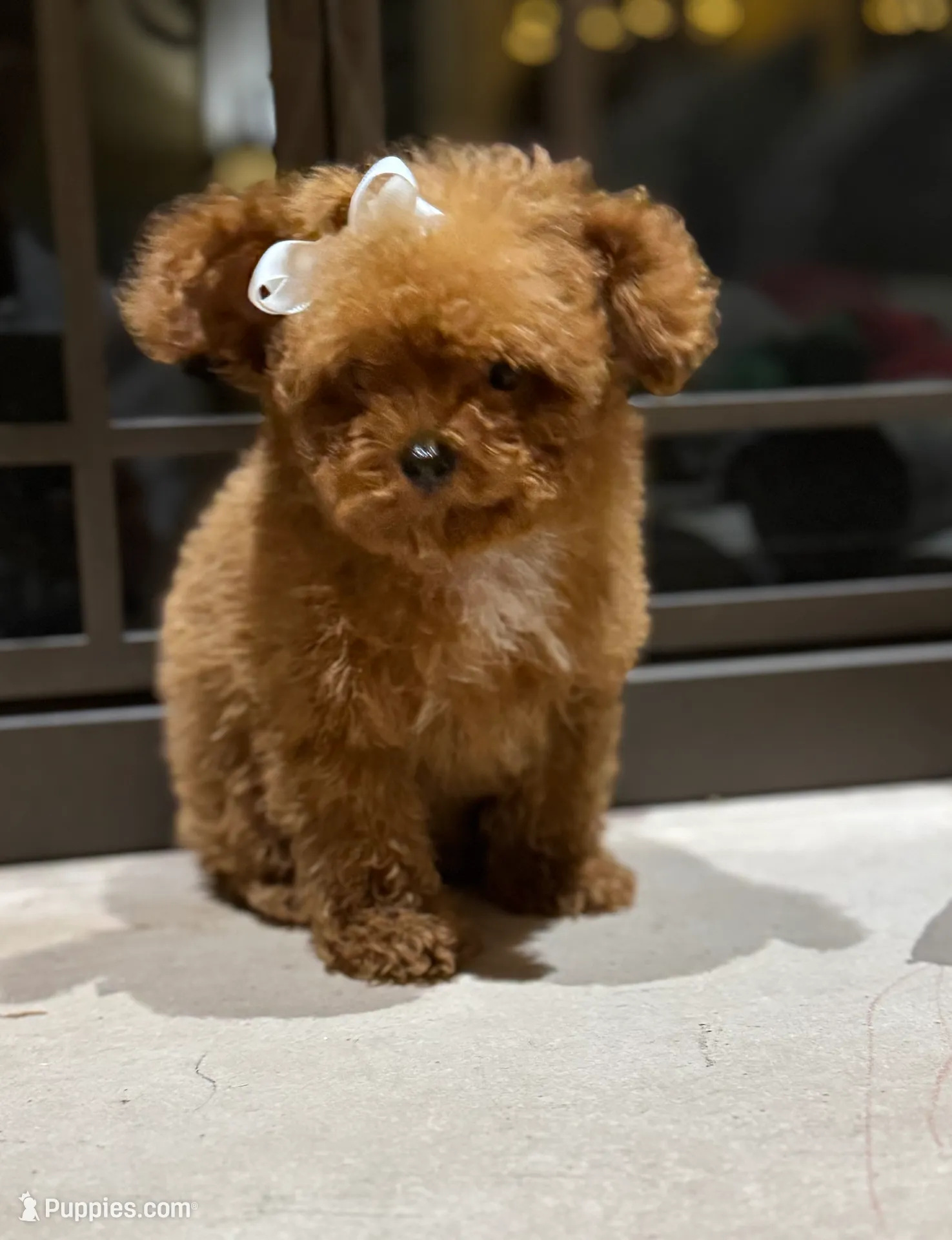 processed/3c05daa3-ab4d-40e5-bb08-3391d82f68db/listing/c5e52093-49ca-4991-b7eb-c67b8a1d73d0/6b7ff896-5c8a-4c52-a880-96067e4e0426