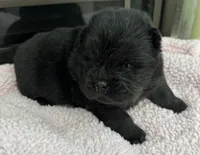 processed/3c05daa3-ab4d-40e5-bb08-3391d82f68db/listing/f63829ea-6295-46b5-8fb9-1eac1e7f3001/15b289ab-fdd4-4973-a268-9b0ab62841c5