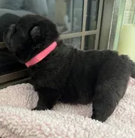 processed/3c05daa3-ab4d-40e5-bb08-3391d82f68db/listing/f63829ea-6295-46b5-8fb9-1eac1e7f3001/1daf6efb-efe3-441f-abeb-0ffd57e3ca6a