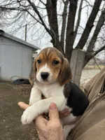 processed/3c099700-7221-446e-9c76-f0dc921dd65d/listing/e4a7cfe8-3498-48ac-b934-ff6082028099/3f8fd22b-ab85-4972-b534-2fee802b6a68