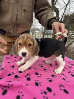 processed/3c099700-7221-446e-9c76-f0dc921dd65d/listing/e4a7cfe8-3498-48ac-b934-ff6082028099/c2af0f02-37c0-4b0f-8618-d3b8fef5a743