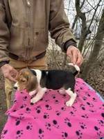 processed/3c099700-7221-446e-9c76-f0dc921dd65d/listing/e4a7cfe8-3498-48ac-b934-ff6082028099/fc368614-6184-4188-9dd4-475d8d624593