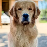 processed/3c0c30d9-b4e1-44c8-8452-8d9df7dbc20e/facility/06bd4773-b50b-40cd-b8d0-d9d464cbe260