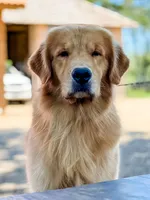 processed/3c0c30d9-b4e1-44c8-8452-8d9df7dbc20e/facility/06bd4773-b50b-40cd-b8d0-d9d464cbe260