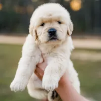 processed/3c0c30d9-b4e1-44c8-8452-8d9df7dbc20e/facility/3cf98519-f05e-44ea-9368-eca697de89d1